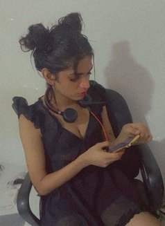 Roshel Dekkor Best cam Sessions - Transsexual escort in Colombo Photo 1 of 24