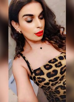 Roshel Fullservice Available Cam Ava - Acompañantes transexual in Colombo Photo 7 of 7