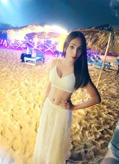 Roshini Doll mallu shemale - Transsexual escort in Bangalore Photo 9 of 12
