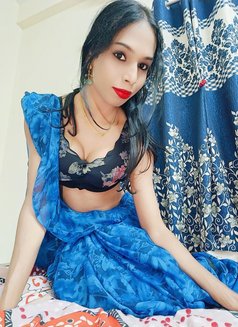 Roshini Doll mallu shemale - Transsexual escort in Bangalore Photo 11 of 12