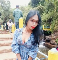 Roshini Doll Sexy Mallu Shemale - Transsexual escort in Bangalore Photo 1 of 14