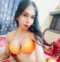 Roshini Doll Sexy Versatile Mallu Shemal - Transsexual escort in Bangalore Photo 1 of 12