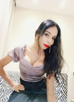 Roshini Doll Sexy Versatile Mallu Shemal - Transsexual escort in Bangalore Photo 9 of 12