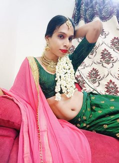 Roshini Doll Sexy Versatile Mallu Shemal - Transsexual escort in Bangalore Photo 12 of 12
