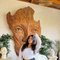 Roshni Escort Service - escort in Rajkot