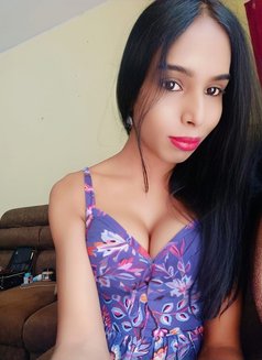 Roshni Sexy Doll - Acompañantes transexual in Chennai Photo 14 of 14