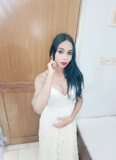 Young hot sexy mallu shemale - Transsexual escort in Chennai Photo 4 of 7