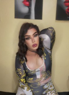 Rosi - Transsexual escort in Beirut Photo 12 of 14