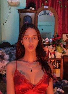 Rosi Xettri - Transsexual escort in Kathmandu Photo 20 of 22