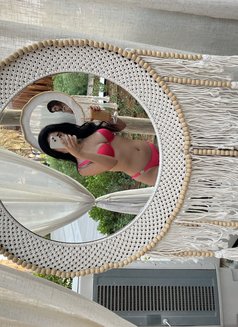 Rosita - puta in Dubai Photo 1 of 1