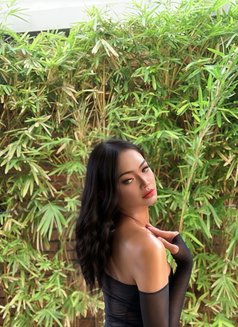 Rosse Leonna - Transsexual escort in Bali Photo 7 of 8