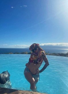 Rossinabellayina - escort in Amsterdam Photo 3 of 3