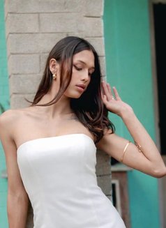 Rosu - Transsexual escort agency in Kathmandu Photo 15 of 15