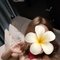 Rosy - escort in Kuala Lumpur Photo 3 of 7