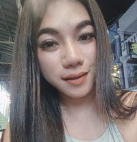 Rosy - Transsexual escort in Phuket