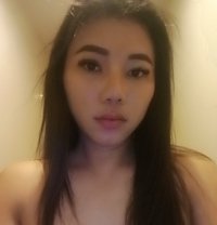Rosy - Acompañantes transexual in Phuket