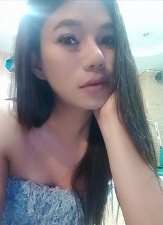 Rosy - Acompañantes transexual in Phuket Photo 4 of 4