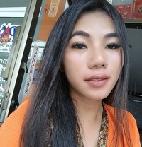 Rosy - Acompañantes transexual in Phuket