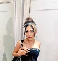 Rosy Thorn - Transsexual escort in Manila