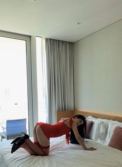 Rosya - puta in Dubai Photo 20 of 24