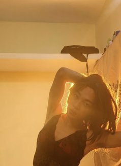 Rosypriya Shemale - Transsexual escort in Bangalore Photo 4 of 4