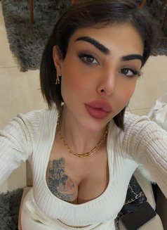 Rouh 19 cm - Acompañantes transexual in Beirut Photo 27 of 29