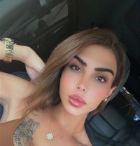 Rouh 19 cm - Acompañantes transexual in Beirut Photo 1 of 30