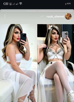 روحrouh - Acompañantes transexual in Damascus Photo 5 of 5