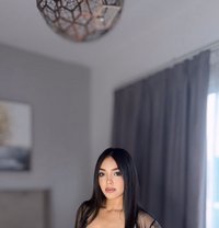 Rourou New in Dubai - escort in Dubai