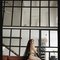 Rouz Richi Available - Acompañantes transexual in Prague (Praha)