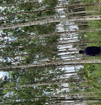 Rowdy - Male adult performer in Hyderabad