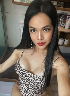 Roxanne is in the town🫶 - Transsexual escort in Bangkok Photo 14 of 21