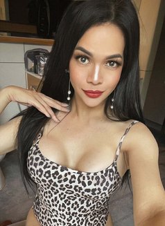 Roxanne is in the town🫶 - Transsexual escort in Bangkok Photo 15 of 21