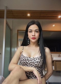 Roxanne is in the town🫶 - Transsexual escort in Bangkok Photo 20 of 21