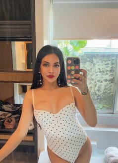 Roxanne is in the town🫶 - Transsexual escort in Bangkok Photo 21 of 21