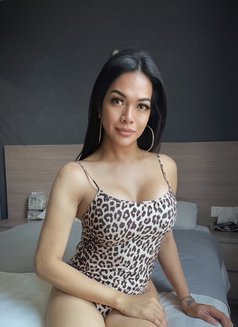 Roxanne is New in town - Transsexual escort in Kuala Lumpur Photo 18 of 21