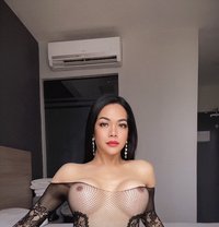 big boobs hot babe cum - Transsexual escort in Abu Dhabi