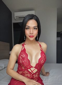 Roxanne is New in town - Transsexual escort in Pattaya Photo 15 of 20