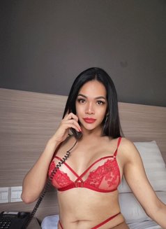 Roxanne is New in town - Acompañantes transexual in Kuala Lumpur Photo 21 of 24