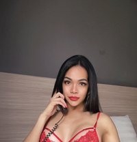mistress ROXANNE / domination/slave - Transsexual escort in Al Ain