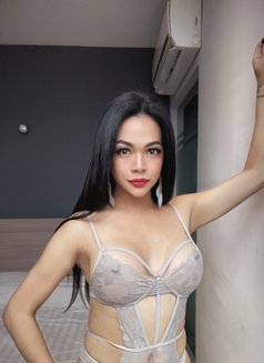 Roxanne is New in town - Acompañantes transexual in Kuala Lumpur Photo 16 of 17