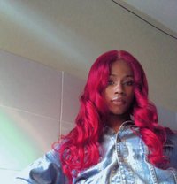 Roxie Camble 🏳️⚧️ - Transsexual escort agency in Nairobi