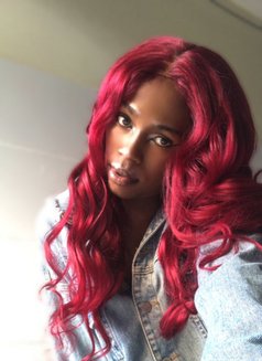 Roxie Camble 🏳️‍⚧️ - Transsexual escort agency in Nairobi Photo 6 of 7
