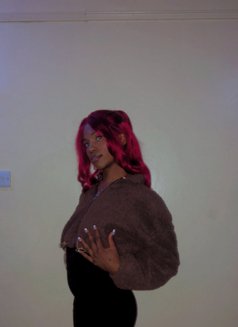 Roxie Camble 🏳️⚧️ - Agencia de acompañantes transexuales in Nairobi Photo 8 of 11