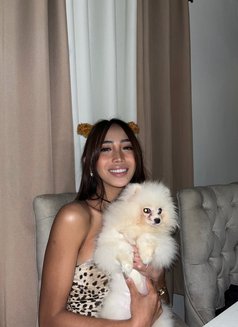 Roxie - Transsexual escort in Manila Photo 3 of 7