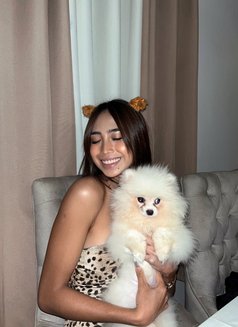 Roxie - Transsexual escort in Manila Photo 6 of 7