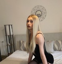 Roxie - Transsexual escort in İstanbul