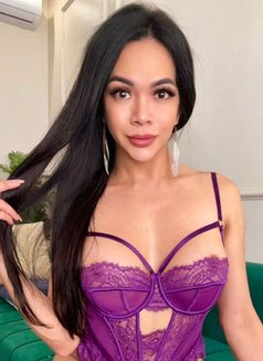 ROXXANNE new Misstress in town - Acompañantes transexual in Casablanca Photo 19 of 26