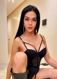 ROXXANNE new Misstress in town - Acompañantes transexual in Casablanca Photo 22 of 26