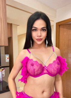 ROXXANNE new Misstress in town - Acompañantes transexual in Casablanca Photo 24 of 26